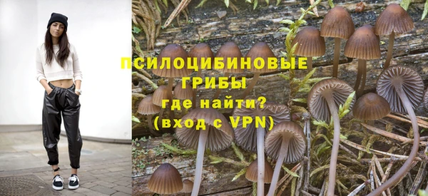 трава Артём