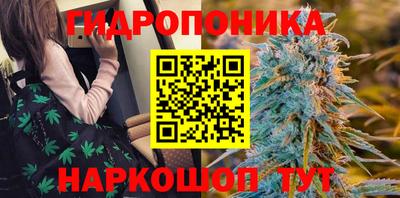 герыч Гагарин