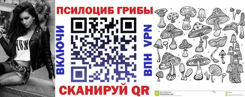 блэк спрут онион Добрянка Галлюциногенные грибы Magic Shrooms