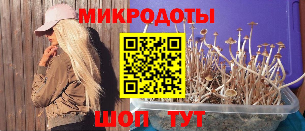 Галлюциногенные грибы GOLDEN TEACHER Добрянка