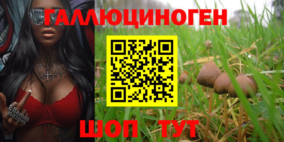 Псилоцибиновые грибы ЛСД Добрянка