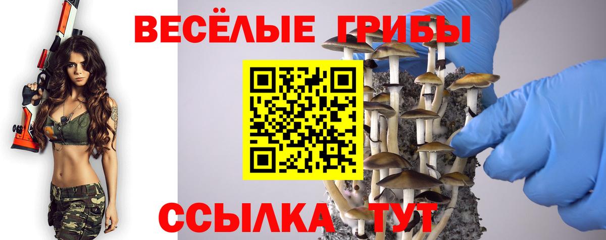 Добрянка  Галлюциногенные грибы прущие грибы  где купить наркоту  Вход с VPN 