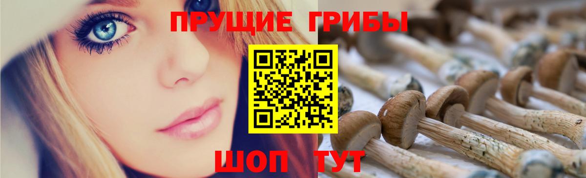 сколько стоит  Псилоцибиновые грибы Cubensis  Добрянка  Псилоцибиновые грибы Magic Shrooms 